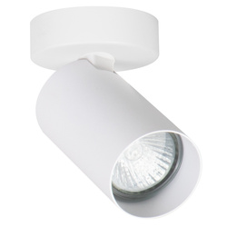 Lampa reflektor sufitowy ALFA ALASA BIAŁY 1xGU10 7cm | 59032