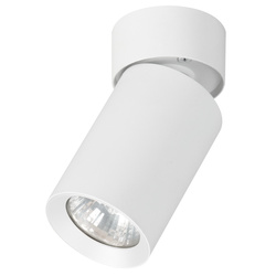 Lampa reflektor sufitowy ALFA FLEX BIAŁY 1xGU10 6cm | 59026