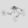 Lampa sufitowa ALFA LIVIA CHROM 3xE14 | 21523