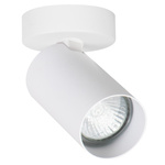 Lampa reflektor sufitowy ALFA ALASA BIAŁY 1xGU10 7cm | 59032