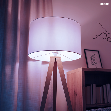 Żarówka LED 15W E27 A60 6000K