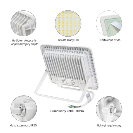 NOCTIS LUX 2 SMD 230V 50W IP65 CW WHITE BARWA CIEPŁA