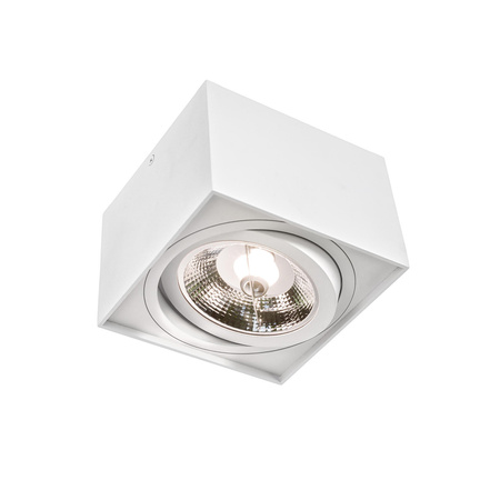 Oprawa LED natynkowa CHLOE AR 111 regulacja kąta 14x14cm | biały