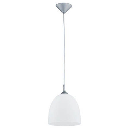 Lampa wisząca ALFA DAWID SREBRNA 1xE27 23cm | 9106